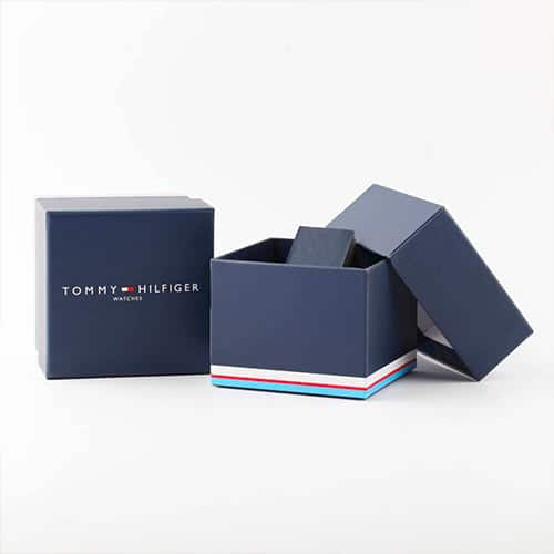 Montre Tommy Hilfiger Gavin 1791471